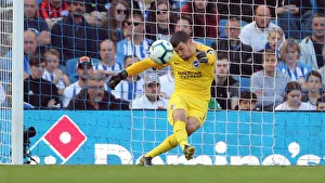Brighton and Hove Albion vs. Southampton: Premier League Showdown at American Express Community Stadium (30MAR19)