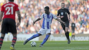 Brighton and Hove Albion vs. Southampton: Premier League Battle at American Express Community Stadium (30MAR19)