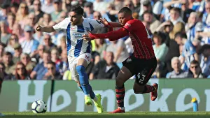 Brighton and Hove Albion vs. Southampton: Premier League Showdown at American Express Community Stadium (30MAR19)
