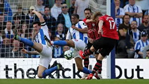 Brighton and Hove Albion vs. Southampton: Premier League Showdown at American Express Community Stadium (30MAR19)