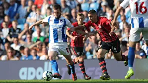 Brighton and Hove Albion vs. Southampton: Premier League Showdown at American Express Community Stadium (30MAR19)