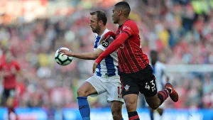 Brighton and Hove Albion vs. Southampton: Premier League Showdown at American Express Community Stadium (30MAR19)