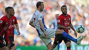Brighton and Hove Albion vs. Southampton: Premier League Showdown at American Express Community Stadium (30MAR19)