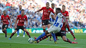 Brighton and Hove Albion vs. Southampton: Premier League Showdown at American Express Community Stadium (30MAR19)