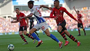 Brighton and Hove Albion vs. Southampton: Premier League Showdown at American Express Community Stadium (30MAR19)