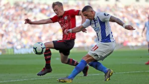 Brighton and Hove Albion vs. Southampton: Premier League Showdown at American Express Community Stadium (30MAR19)