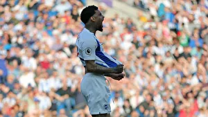 Brighton and Hove Albion vs. Southampton: Premier League Battle at American Express Community Stadium (30MAR19)