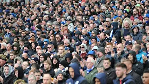Brighton and Hove Albion vs. Bournemouth: Premier League Battle at American Express Community Stadium (13APR19)