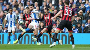 Brighton and Hove Albion vs. Bournemouth: Premier League Battle at American Express Community Stadium (13APR19)