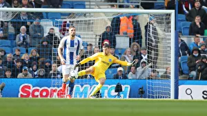 Brighton and Hove Albion vs. Bournemouth: Premier League Battle at American Express Community Stadium (13APR19)