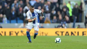 Brighton and Hove Albion vs. Bournemouth: Premier League Battle at American Express Community Stadium (13APR19)