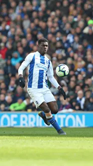 Brighton and Hove Albion vs. Bournemouth: Premier League Showdown at American Express Community Stadium (13APR19)
