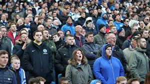 Brighton and Hove Albion vs. Bournemouth: Premier League Battle at American Express Community Stadium (13APR19)