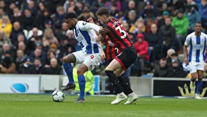Brighton and Hove Albion vs. Bournemouth: Premier League Battle at American Express Community Stadium (13APR19)