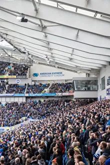 Brighton and Hove Albion vs. Bournemouth: Premier League Battle at American Express Community Stadium (13APR19)
