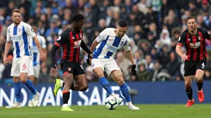 Brighton and Hove Albion vs. Bournemouth: Premier League Battle at American Express Community Stadium (13APR19)