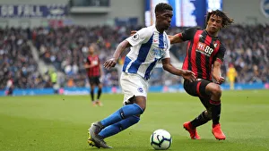 Brighton and Hove Albion vs. Bournemouth: Premier League Battle at American Express Community Stadium (13APR19)