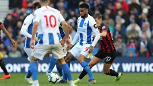 Brighton and Hove Albion vs. Bournemouth: Premier League Battle at American Express Community Stadium (13APR19)