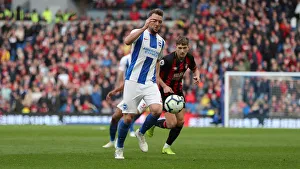 Brighton and Hove Albion vs. Bournemouth: Premier League Showdown at American Express Community Stadium (13APR19)
