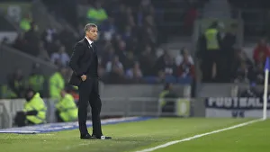 Brighton and Hove Albion vs. Cardiff City: Premier League Battle at American Express Community Stadium (16th April 2019)
