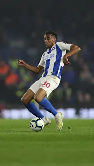 Brighton and Hove Albion vs. Cardiff City: Premier League Battle at American Express Community Stadium (16th April 2019)