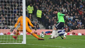 Brighton and Hove Albion vs. Cardiff City: Premier League Showdown at American Express Community Stadium (16th April 2019)