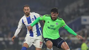 Brighton and Hove Albion vs. Cardiff City: Premier League Battle at American Express Community Stadium (April 16, 2019)