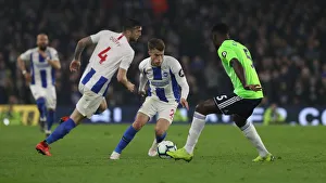 Brighton and Hove Albion vs. Cardiff City: Premier League Battle at American Express Community Stadium (16th April 2019)