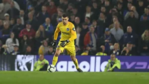 Brighton and Hove Albion vs. Cardiff City: Premier League Battle at American Express Community Stadium (16th April 2019)
