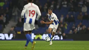 Brighton and Hove Albion vs. Cardiff City: Premier League Showdown at American Express Community Stadium (April 16, 2019)