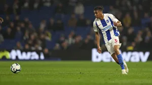 Brighton and Hove Albion vs. Cardiff City: Premier League Battle at American Express Community Stadium (16th April 2019)