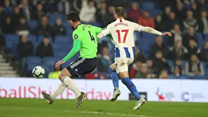 Brighton and Hove Albion vs. Cardiff City: Premier League Battle at American Express Community Stadium (16th April 2019)