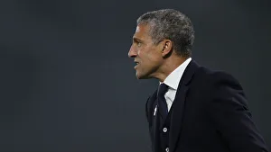 Brighton and Hove Albion vs. Cardiff City: Premier League Battle at American Express Community Stadium (April 16, 2019)
