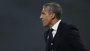 Brighton and Hove Albion vs. Cardiff City: Premier League Showdown at American Express Community Stadium (16th April 2019)