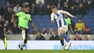 Brighton and Hove Albion vs. Cardiff City: Premier League Battle at American Express Community Stadium (16th April 2019)