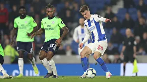 Brighton and Hove Albion vs. Cardiff City: Premier League Showdown at American Express Community Stadium (April 16, 2019)