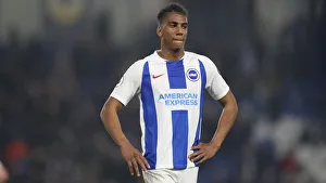 Brighton and Hove Albion vs. Cardiff City: Premier League Battle at American Express Community Stadium (April 16, 2019)