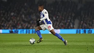 Brighton and Hove Albion vs. Cardiff City: Premier League Showdown at American Express Community Stadium (16th April 2019)