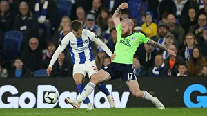 Brighton and Hove Albion vs. Cardiff City: Premier League Showdown at American Express Community Stadium (April 16, 2019)