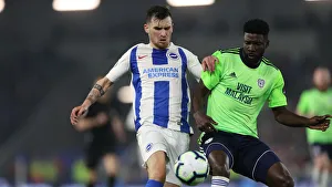 Brighton and Hove Albion vs. Cardiff City: Premier League Battle at American Express Community Stadium (16th April 2019)