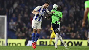 Brighton and Hove Albion vs. Cardiff City: Premier League Showdown at American Express Community Stadium (16th April 2019)