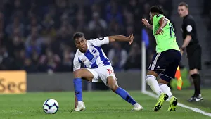 Brighton and Hove Albion vs. Cardiff City: Premier League Showdown at American Express Community Stadium (16th April 2019)
