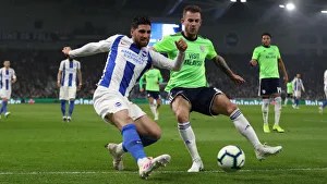 Brighton and Hove Albion vs. Cardiff City: Premier League Battle at American Express Community Stadium (April 16, 2019)