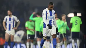 Brighton and Hove Albion vs. Cardiff City: Premier League Battle at American Express Community Stadium (16th April 2019)