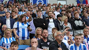 Brighton and Hove Albion vs. West Ham United: Premier League Showdown at American Express Community Stadium (17th August 2019)