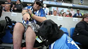 Brighton and Hove Albion vs. West Ham United: Premier League Showdown at American Express Community Stadium (17.08.19)