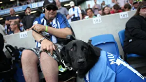 Brighton and Hove Albion vs. West Ham United: Premier League Battle at American Express Community Stadium (17.08.19)