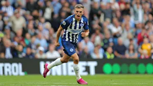 Brighton and Hove Albion vs. West Ham United: Premier League Battle at American Express Community Stadium (17.08.19)
