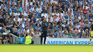Brighton & Hove Albion vs. Southampton: Premier League Showdown at American Express Community Stadium (24 Aug 2019)