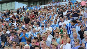 Brighton and Hove Albion vs. Southampton: Premier League Showdown at American Express Community Stadium (24Aug19)